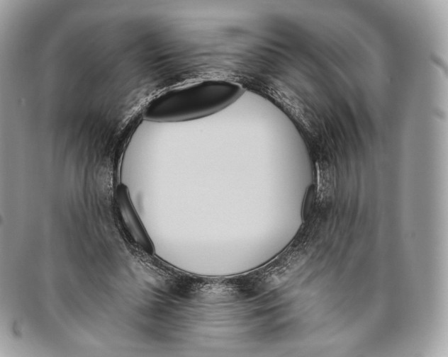 X0000095890348200802081122