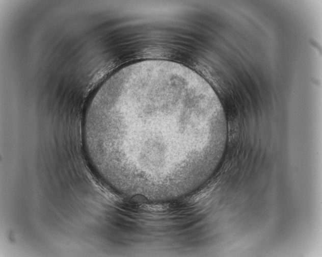 X0000095890349200802081122