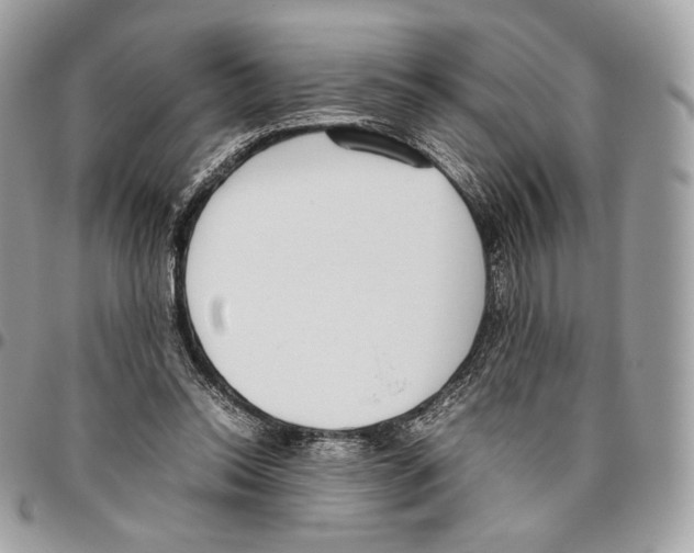 X0000095890350200802081122