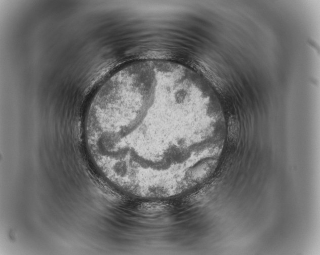 X0000095890351200802081122