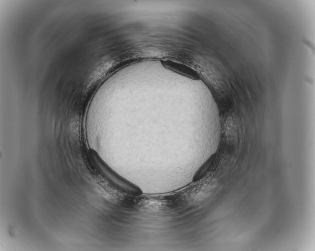 X0000095890352200802081122