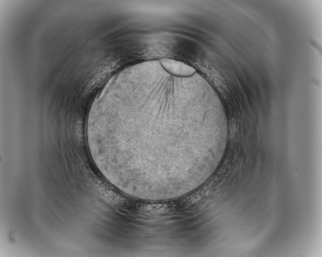 X0000095890353200802081122