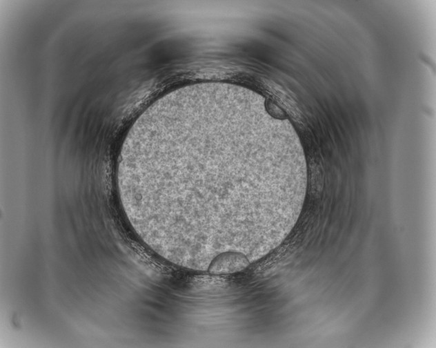 X0000095890354200802081122