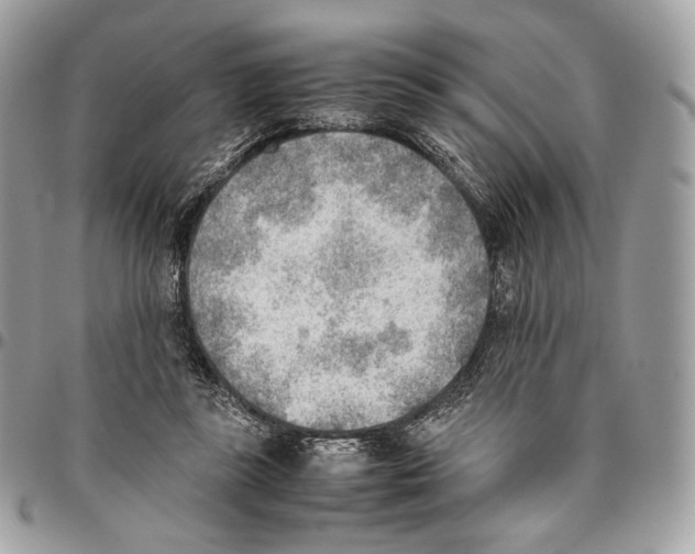 X0000095890355200802081122