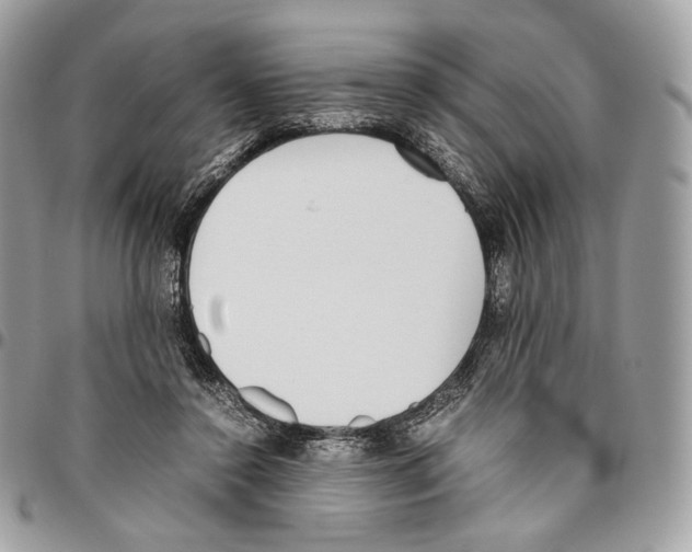 X0000095890356200802081122