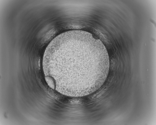 X0000095890358200802081123