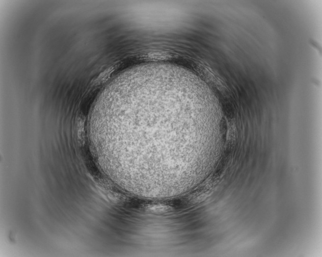 X0000095890360200802081123