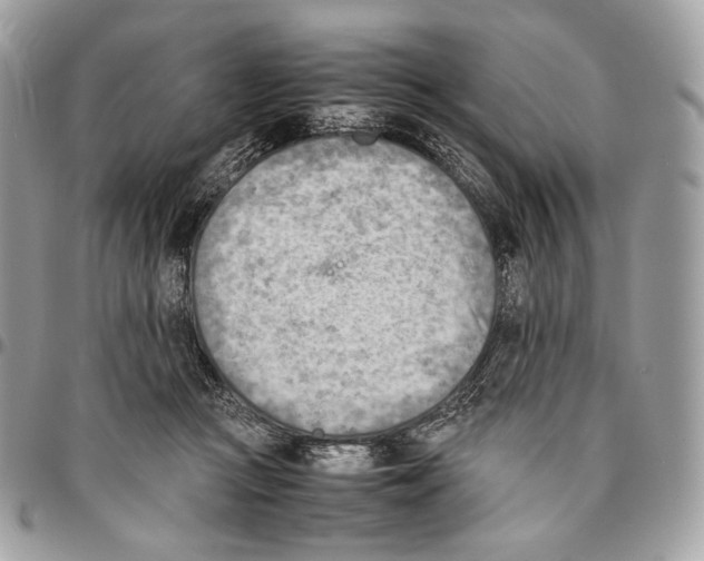 X0000095890361200802081123