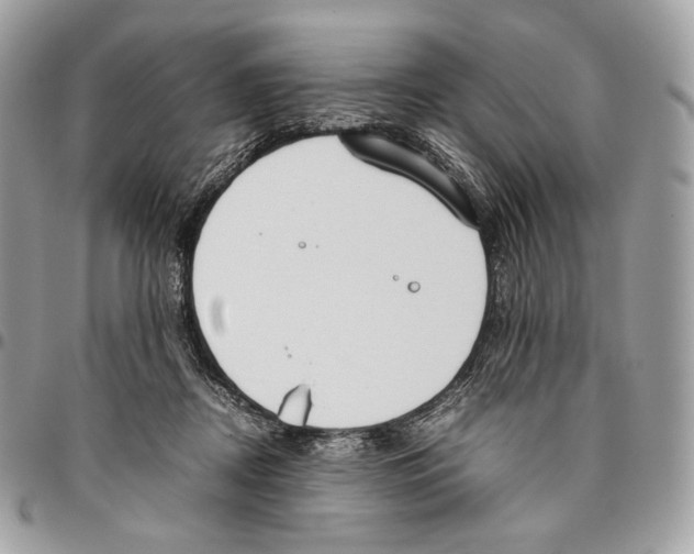 X0000095890362200802081123