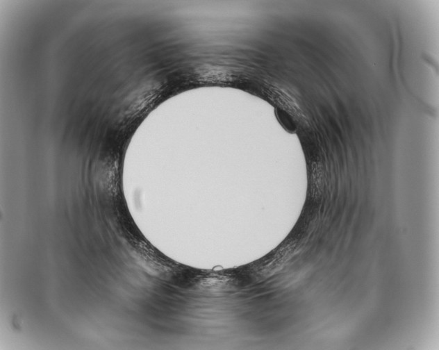 X0000095890364200802081123