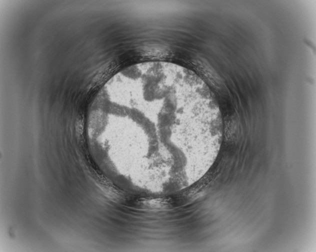 X0000095890365200802081123