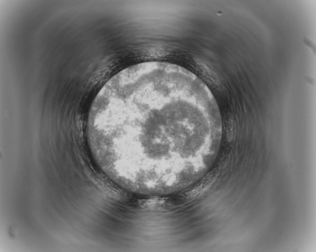 X0000095890366200802081123