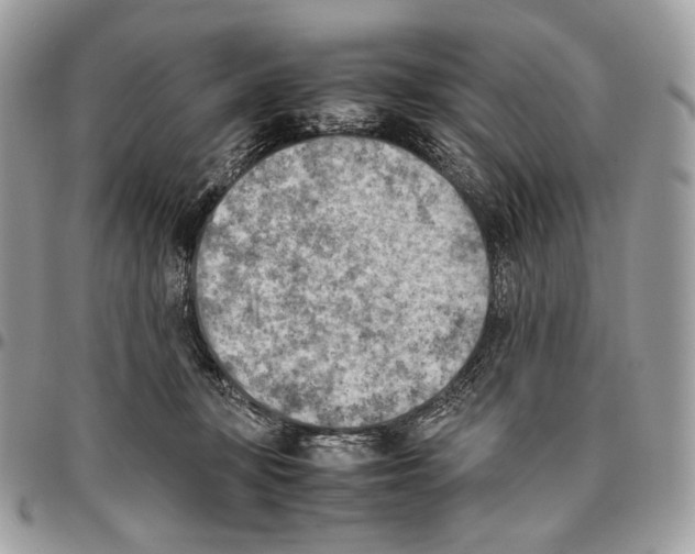 X0000095890367200802081123