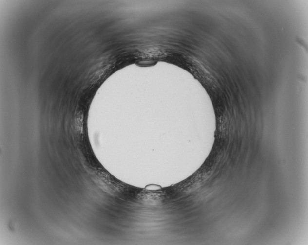 X0000095890368200802081123