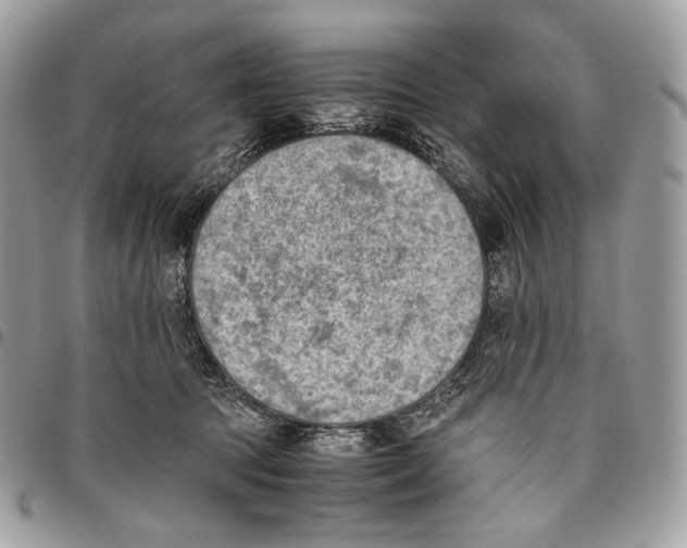 X0000095890369200802081123