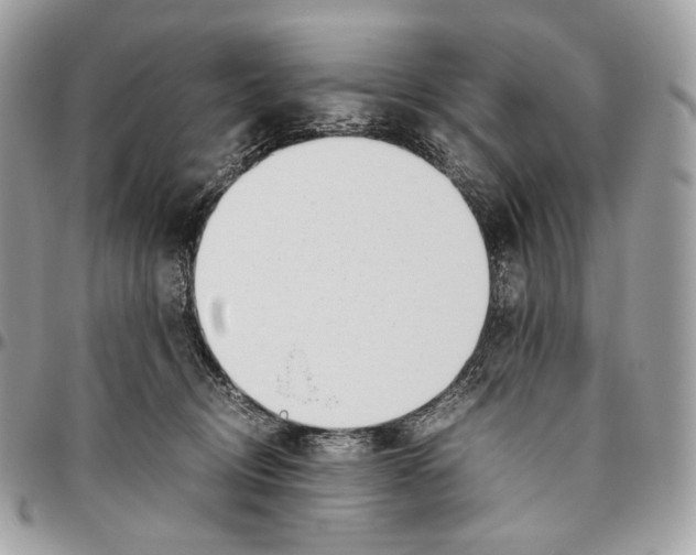 X0000095890370200802081123
