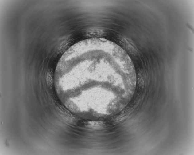 X0000095890371200802081123