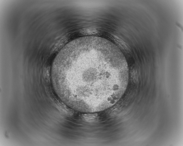 X0000095890373200802081123