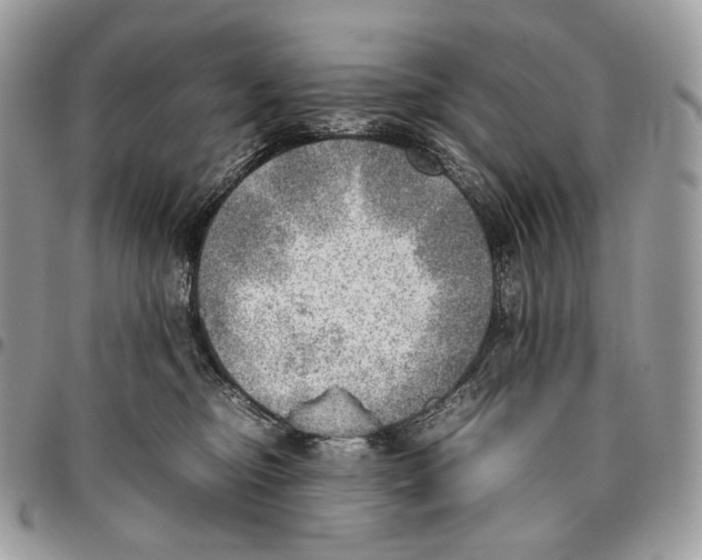 X0000095890374200802081123