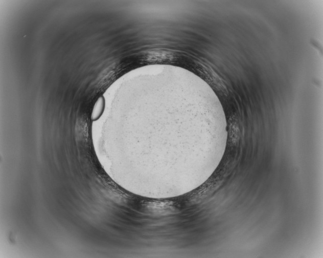X0000095890375200802081123