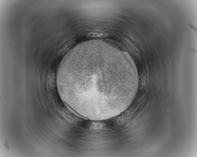 X0000095890376200802081123