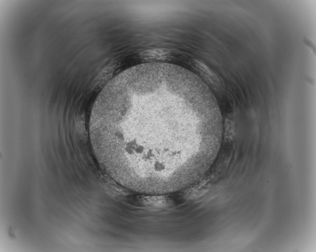 X0000095890377200802081123