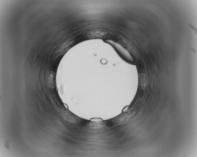 X0000095890378200802081123