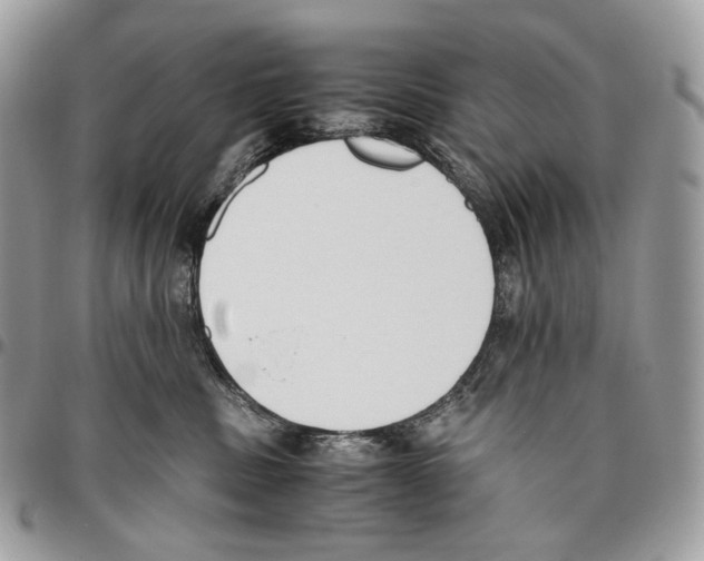 X0000095890379200802081123