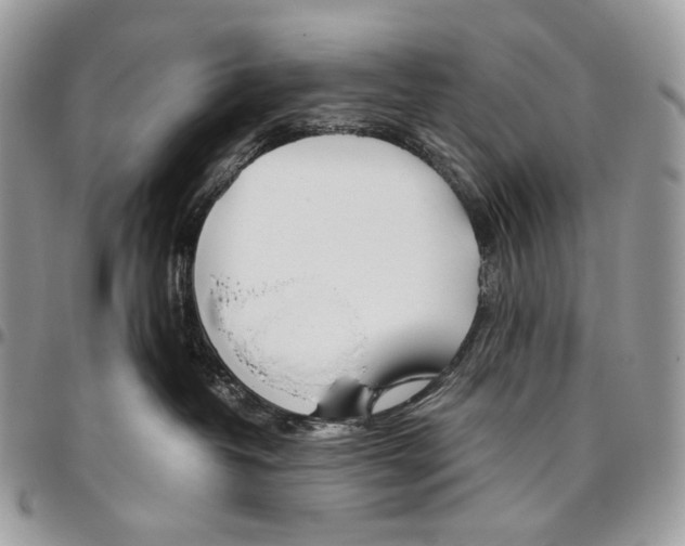 X0000095890382200802081123