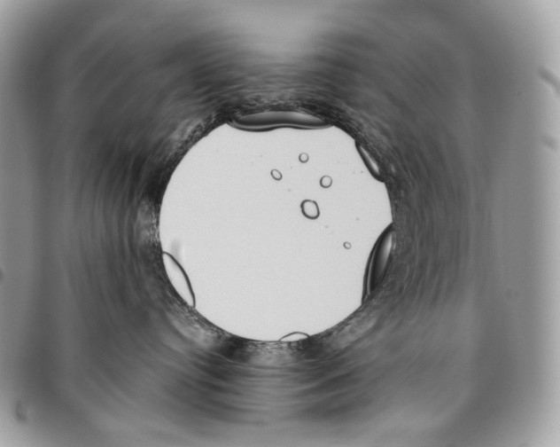 X0000095890384200802081123