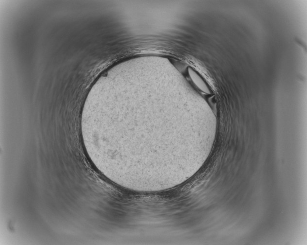 X0000095890385200802081122