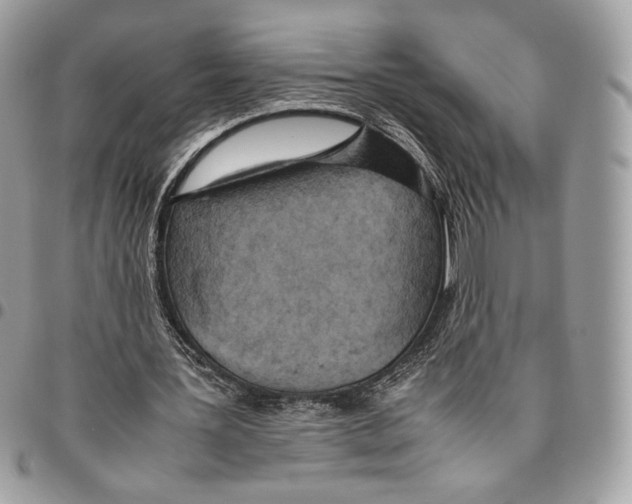 X0000095890387200802081122