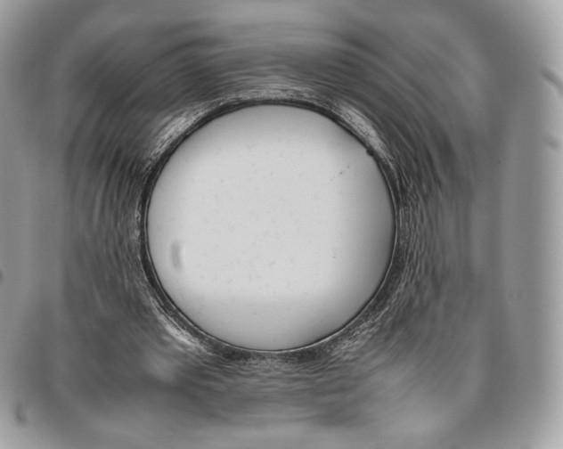 X0000095890389200802081122