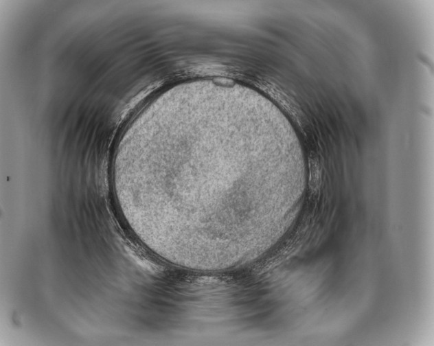 X0000095890390200802081122
