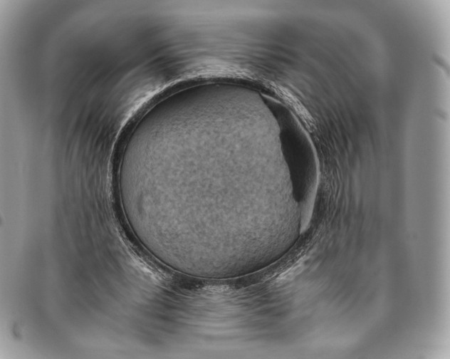 X0000095890391200802081122