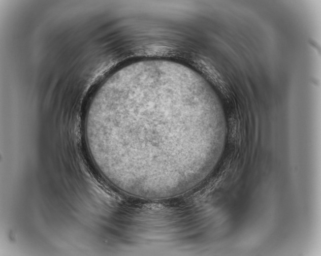 X0000095890392200802081122