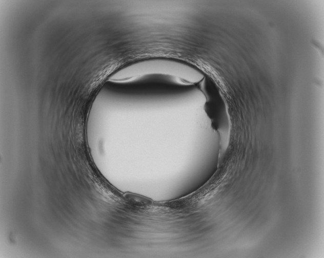 X0000095890393200802081122