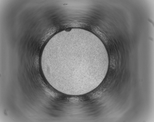 X0000095890394200802081122