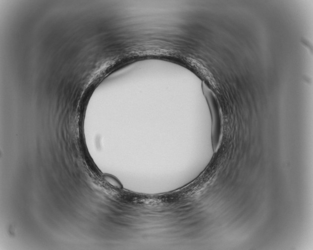 X0000095890395200802081122