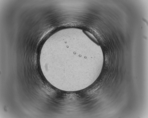 X0000095890396200802081122