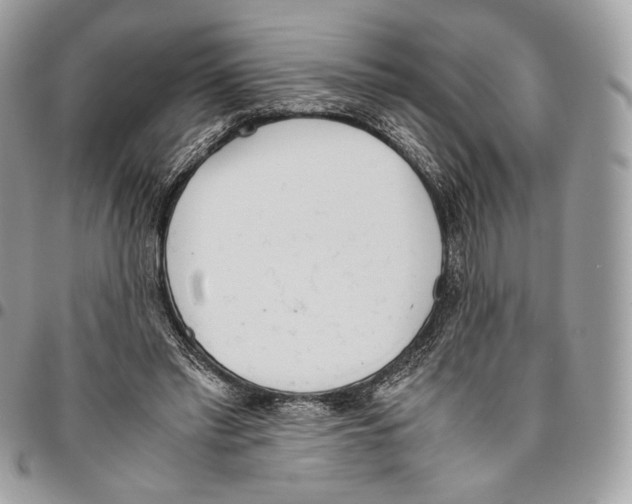 X0000095890397200802081122