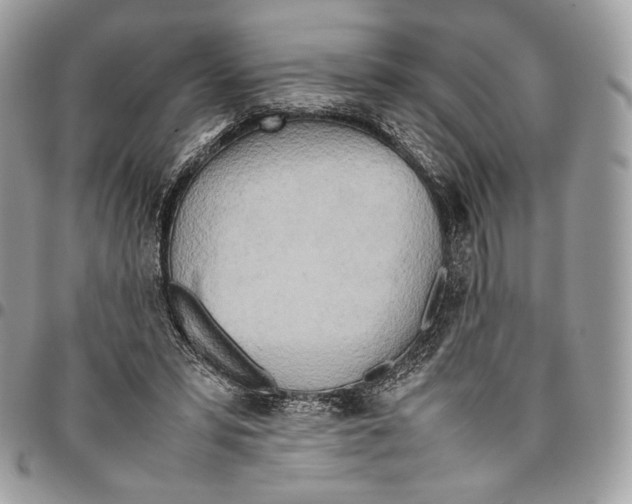 X0000095890399200802081122