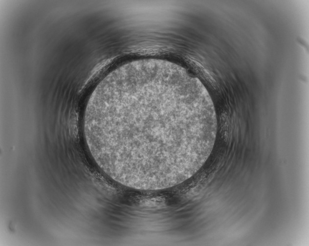 X0000095890400200802081122