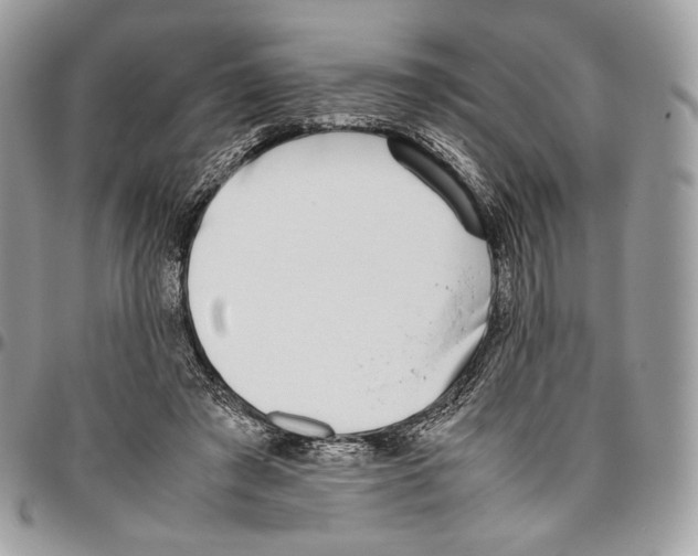 X0000095890401200802081122