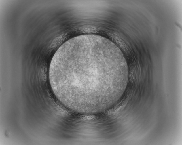 X0000095890402200802081122