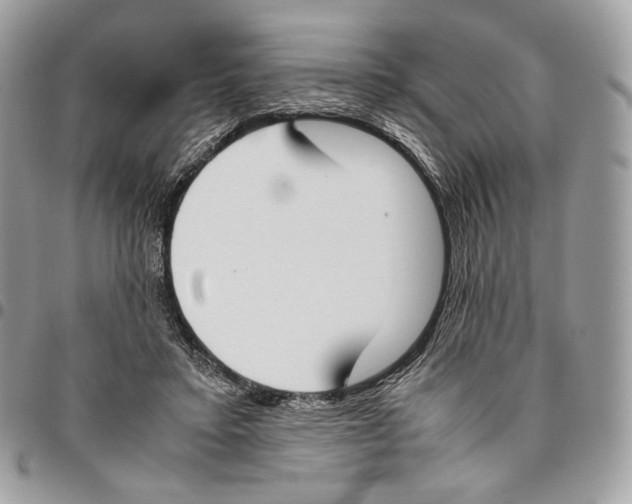 X0000095890403200802081122