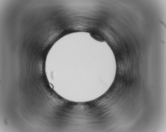 X0000095890404200802081122