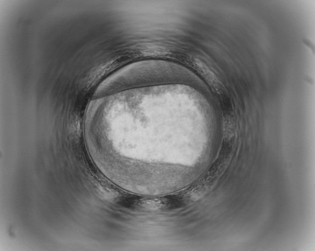 X0000095890405200802081122