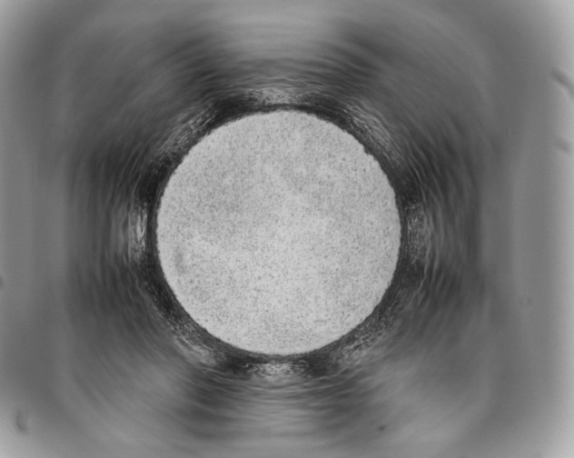 X0000095890406200802081122