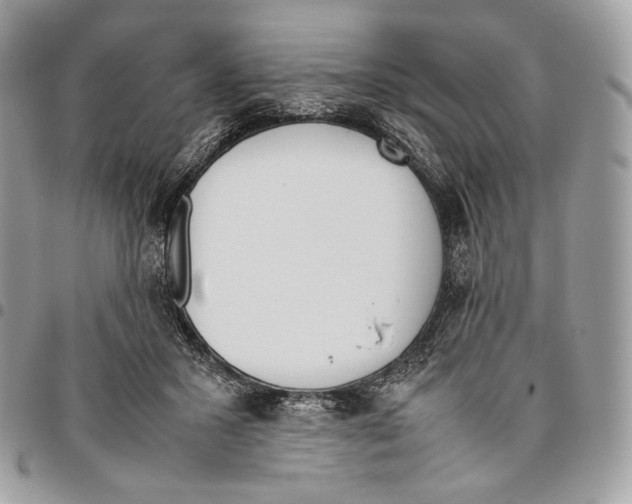 X0000095890407200802081122